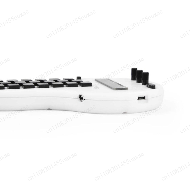 Open Source Minichord Synthesi - Musical Instrument Synthesizer review and price