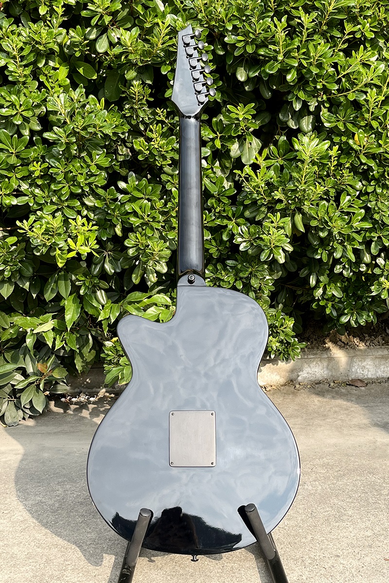 Acoustic Electric Guitar With  - Musical Instrument Logo review and price