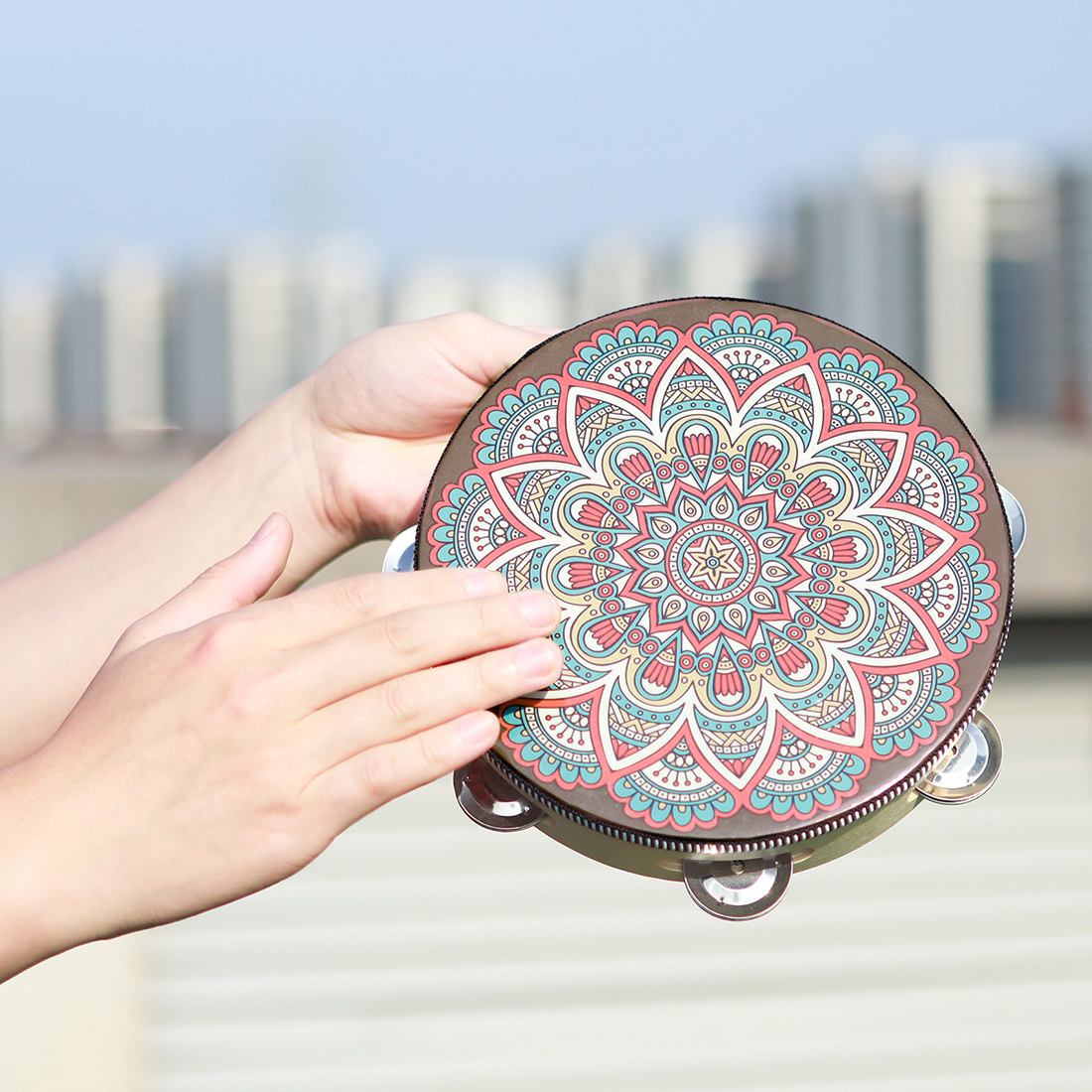 IRIN 8Inch Single Row Ancient  - Musical Instrument Tambourine review and price