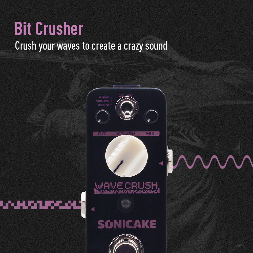 SONICAKE Local Wave Crush Bitc - Musical Instrument Synthesizer review and price